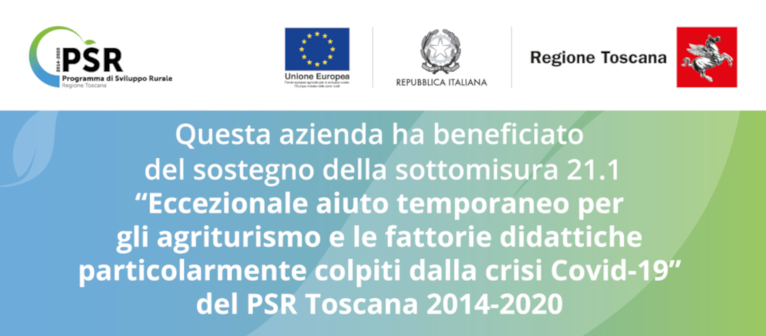 Banner sul contributo della regione Toscana